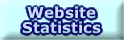 Website Statistics